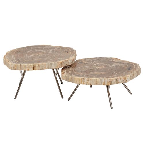 S/2 Larza Petrified Wood Coffee Tables