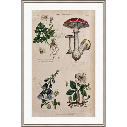 Four Poisonous Plants Painting by Alex Zane Four Poisonous Plants Painting by Alex Zane