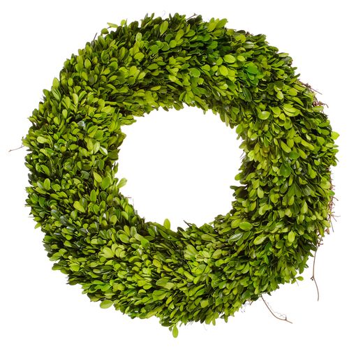 20" Boxwood Wreath, Preserved~P76036772