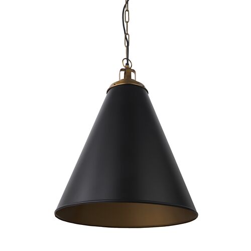 Juniper 1-Light Metal Pendant Juniper 1-Light Metal Pendant