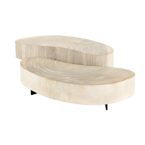 Franco 2-Pc Coffee Table, Oyster Guanacaste~P77612928