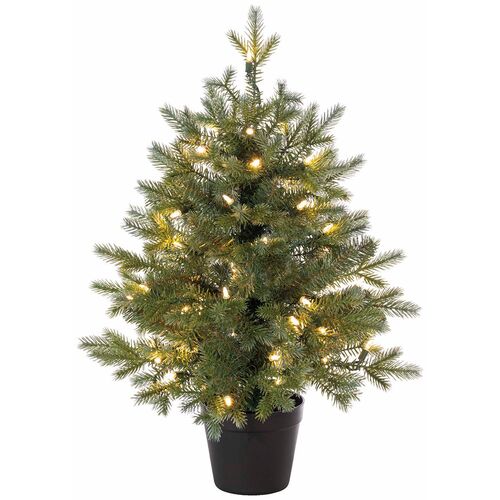 Norway Fir Tree With 50 LED Lights, 24"H x 21"D 
