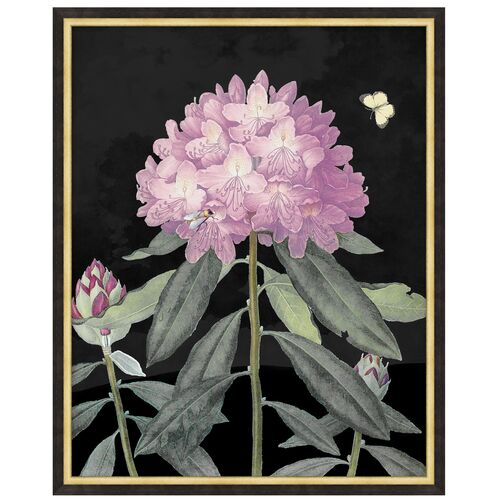 Lillian August, Poetic Botanicals Lillian August, Poetic Botanicals