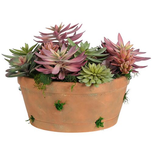 12" Succulent in Terracotta Pot, Faux