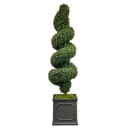 Faux Spiral Boxwood In Square Planter Faux Spiral Boxwood In Square Planter