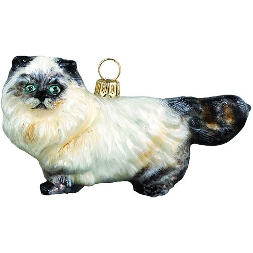 Himalayan Cat