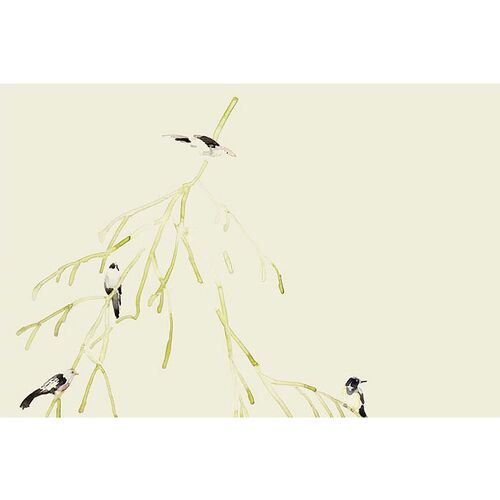 Mary H. Case Lg. Bird Branches Wallpaper, Vanilla~P77605179