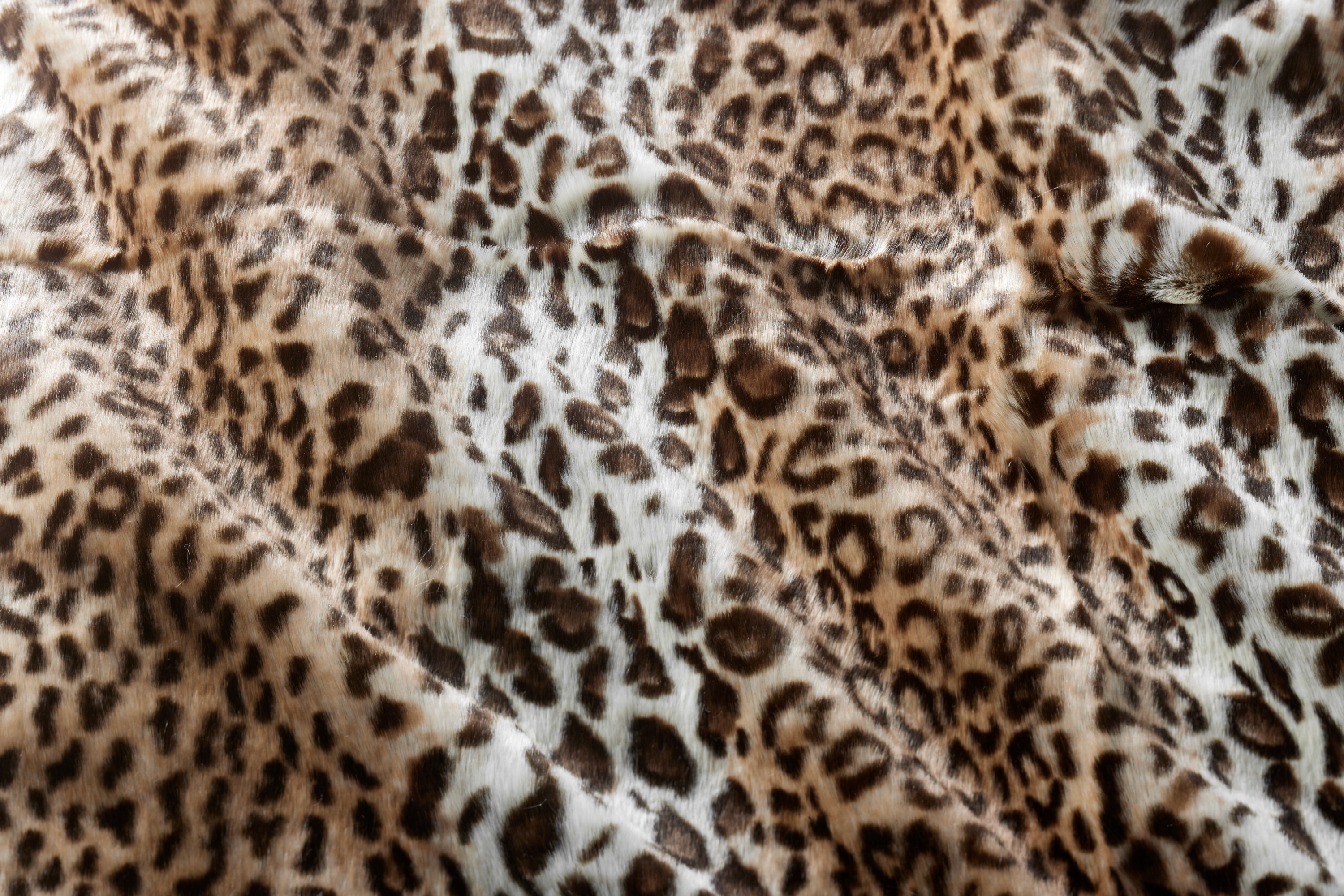 Leopard Print Blanket in Coffee – The Rancher's Wife Boutique