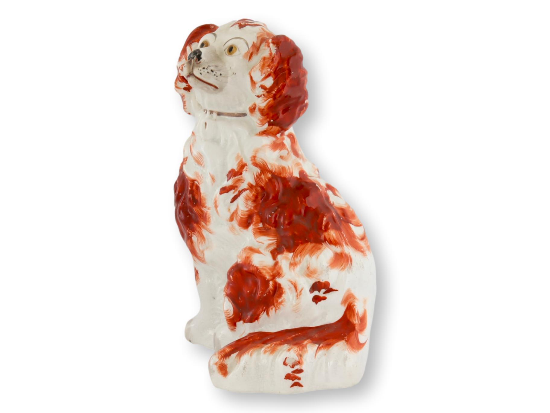 English Staffordshire Spaniel / Dog~P77696081