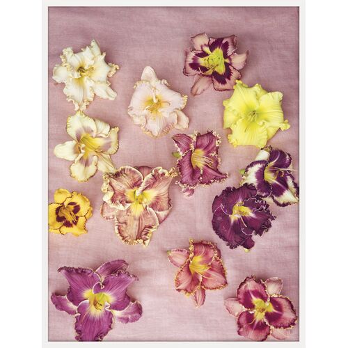 Pretty Little Things Photo, 24" x 32"