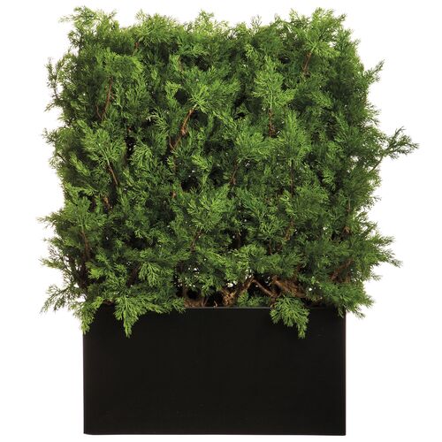 4' UV Protected Ming Juniper/ Twig Hedge in Black Planter with Gloss Finish, Faux