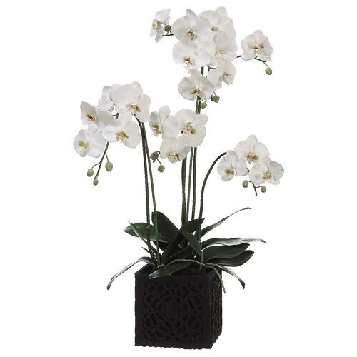 37" Phalaenopsis Orchid w/ Square Planter, Faux~P77539134