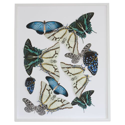 Dawn Wolfe, Moths & Butterflies: Blue/Green~P77368552