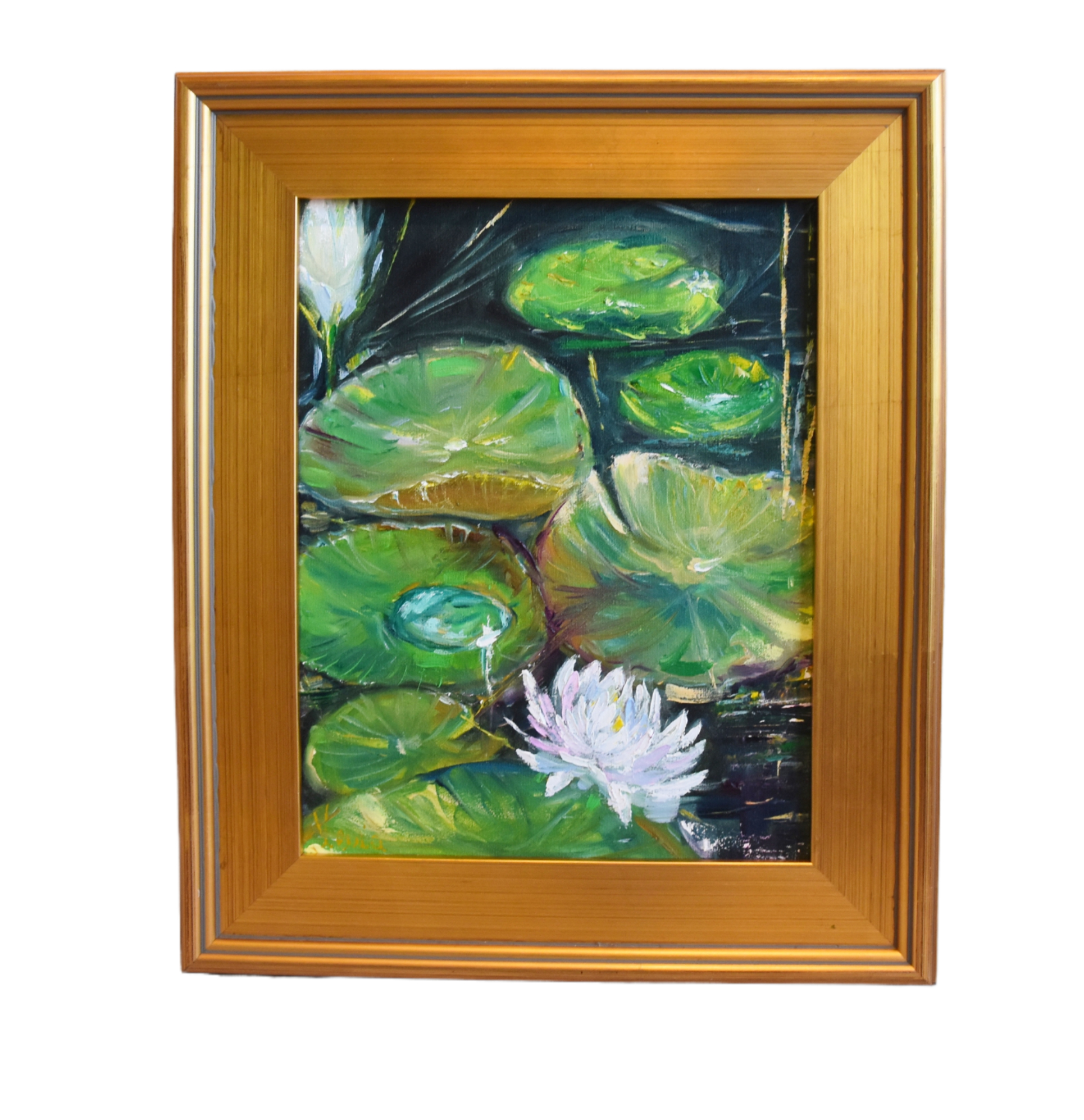 Water Lilies Floral Oil Painting~P77686784