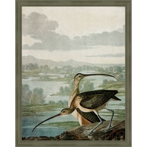 Curlewooks Painting by Jackie Von Tobel