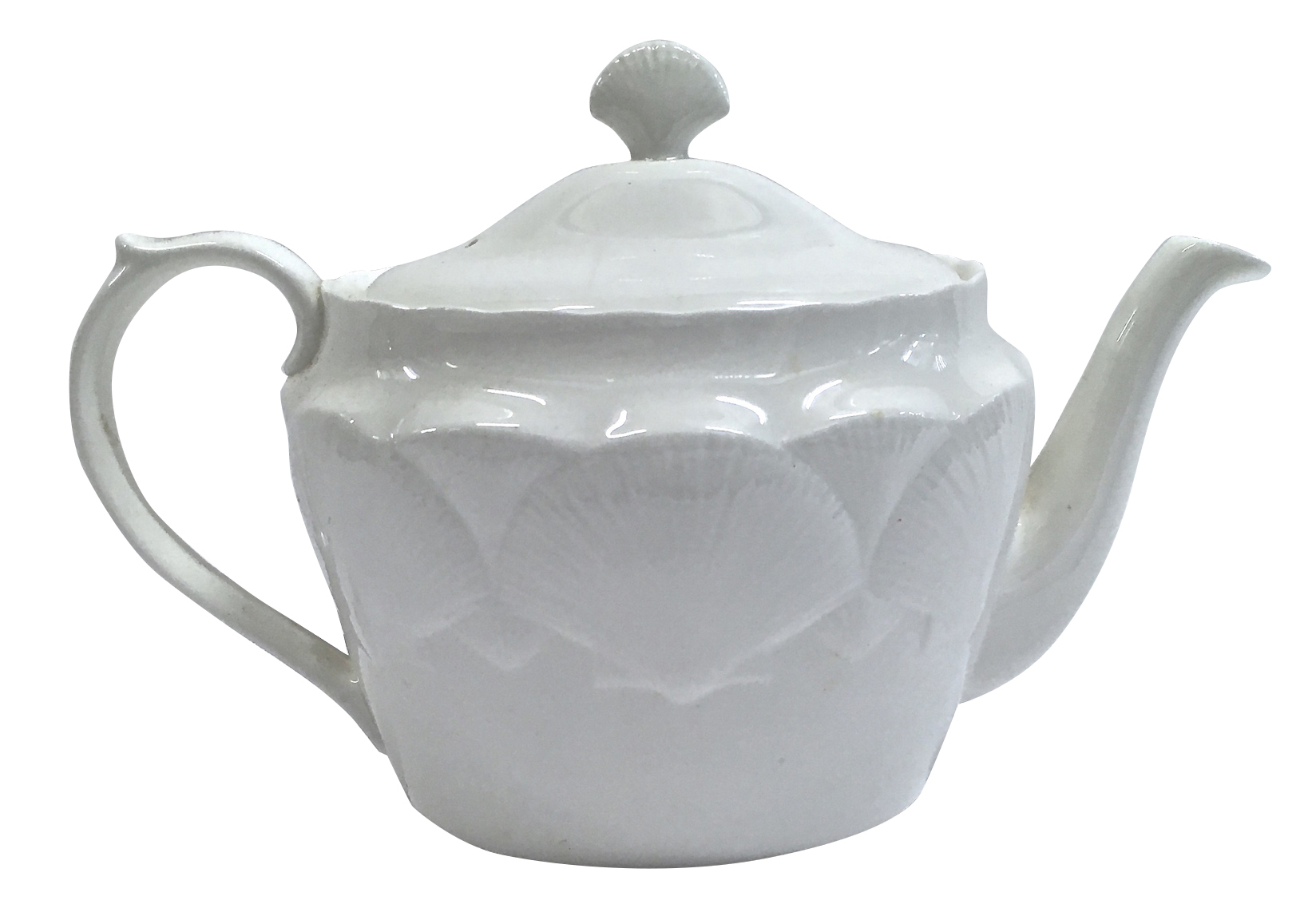 Bone China Seashell Teapot~P77662573