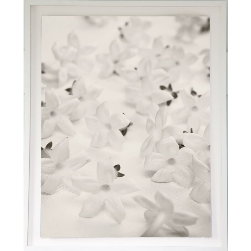 Dawn Wolfe, White Blossoms on Linen