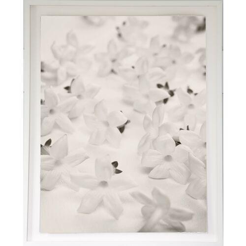 Dawn Wolfe, White Blossoms on Linen~P77427323