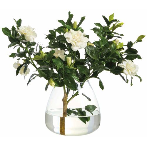 22" Gardenia Branch in Round Glass Vase, White