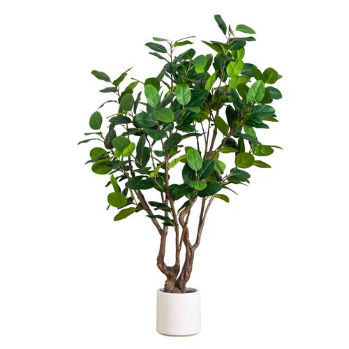 6ft Faux Audrey Ficus Leaf Tree in White Decorative Planter