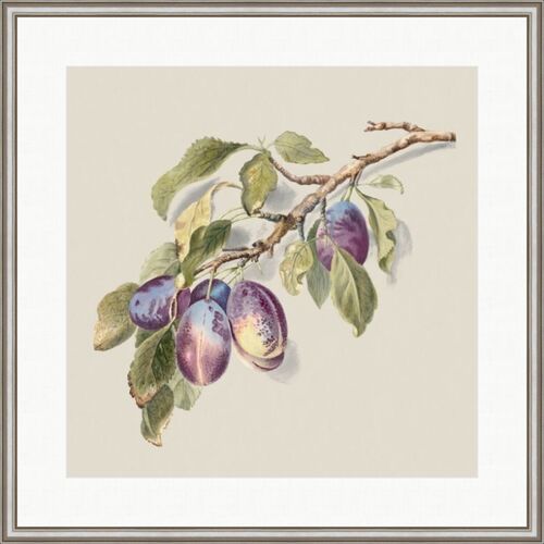 Plum Tree Painting by Alex Zane Plum Tree Painting by Alex Zane