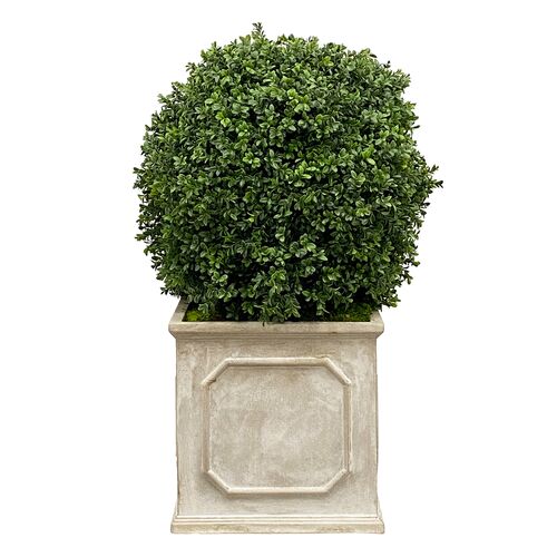 Faux Boxwood In Square Planter, Green/Taupe Faux Boxwood In Square Planter, Green/Taupe