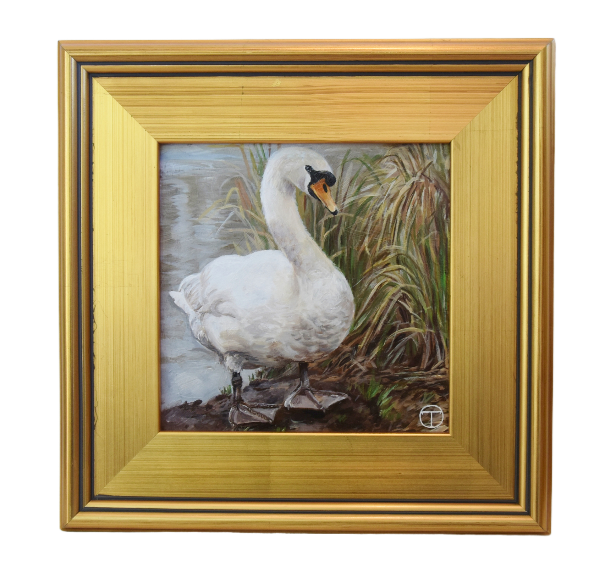 White Swan Bird Portrait Oil Painting~P77690571