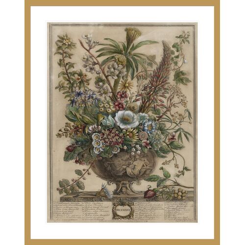 December, The Twelve Months of Flowers by Henry Fletcher Framed Print