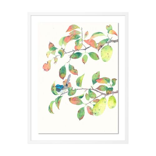 Gabby Malpas, Autumn Crabapples and Blue Wren Painting