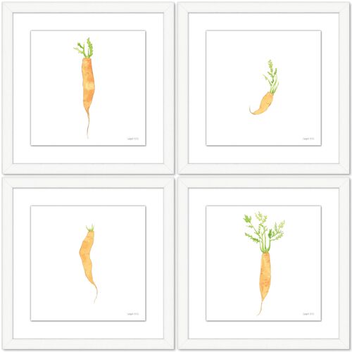 Sara Fitz, Carrot Set