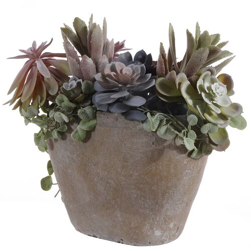 Mandy Succulent Potted Plant~P77647344