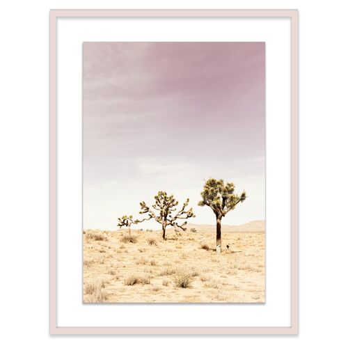 Christine Flynn, Joshua Tree II Photograph
