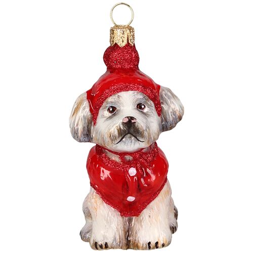 Shih Tzu in Winter Coat and Ski Hat Shih Tzu in Winter Coat and Ski Hat