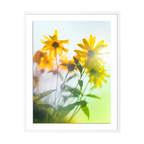 Tommy Kwak, Wildflowers Photograph, Germany
