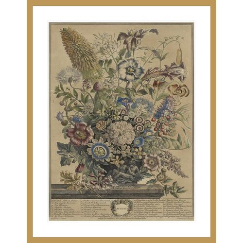 August from the series The Twelve Months of Flowers by Henry Fletcher Print