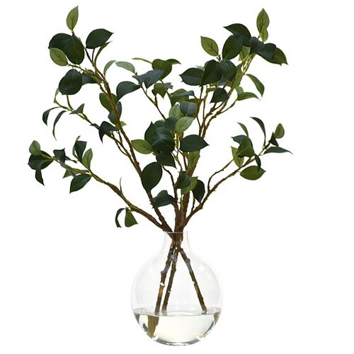 21" Camellia Leaf Branch in Glass Bulb Vase, Faux