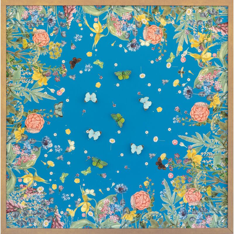 Dawn Wolfe, Turquoise Scarf w/ Butterflies