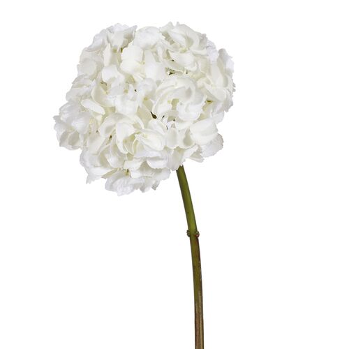19" Hydrangea Short Stem, Set of 6 19" Hydrangea Short Stem, Set of 6