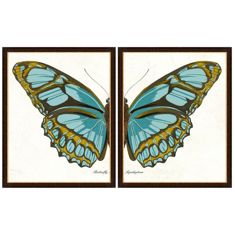 Butterfly Diptych II
