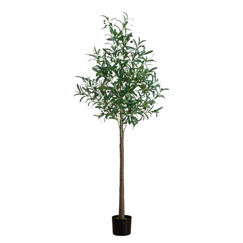 6ft. Lighted Artificial Olive Tree