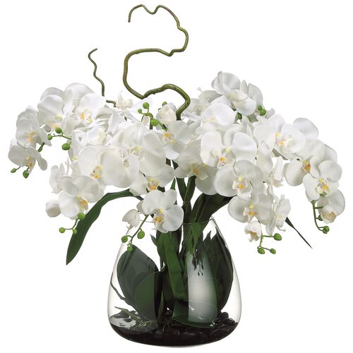 26" Phalaenopsis Orchid in Glass Vase, Faux