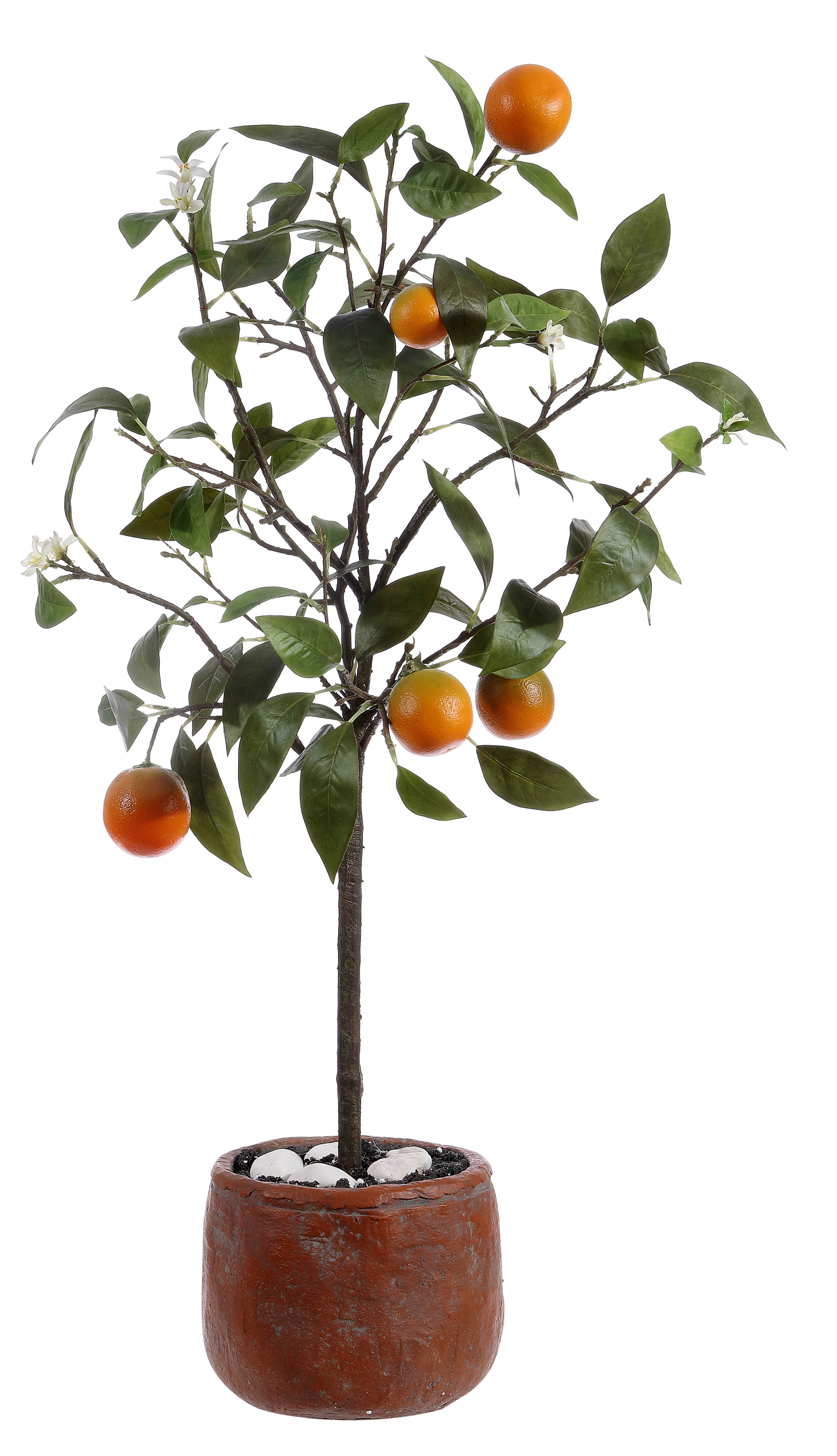 Mia Orange Potted Tree One Kings Lane
