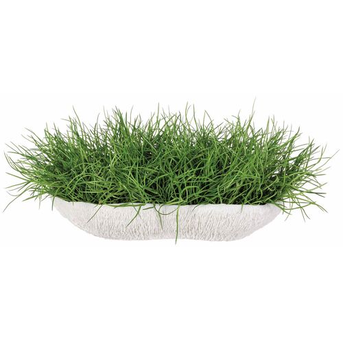 10" Soft Grass in Low Coral Vase, Green