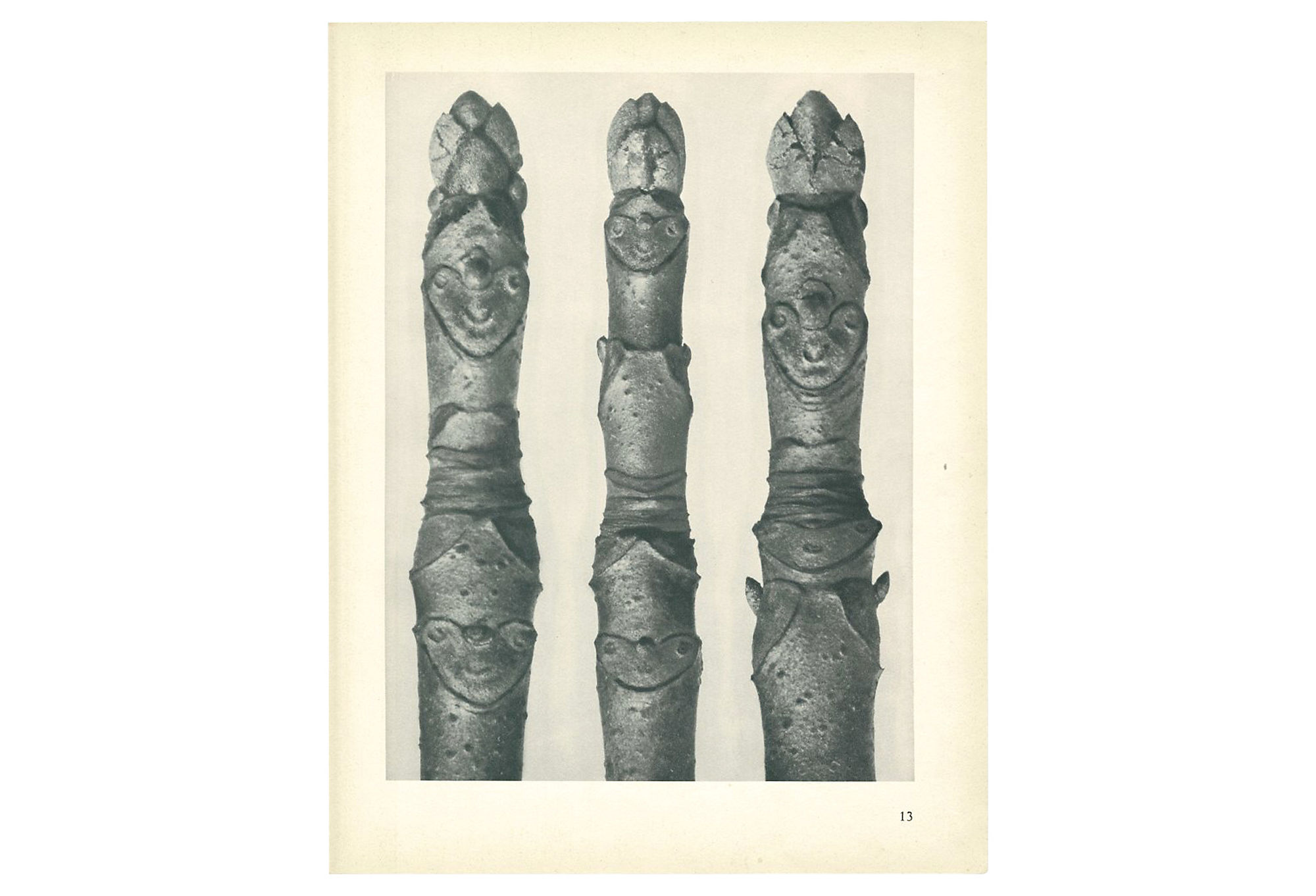 1928 K. Blossfeldt, Aesculus Parviflora~P77579304