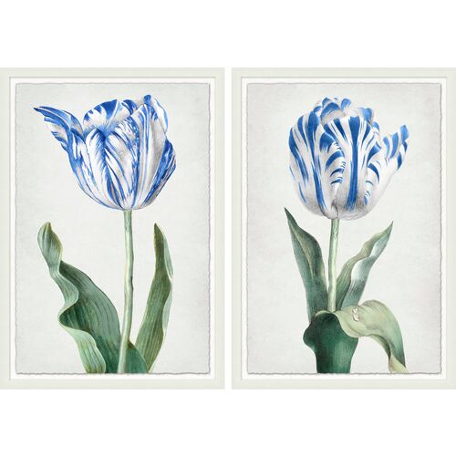 Lillian August, Spring Tulip 1-2~P77405065