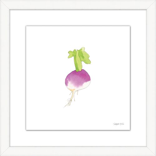 Sara Fitz, Turnip 2