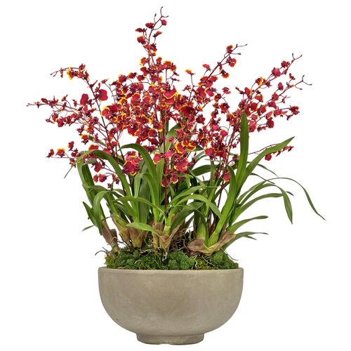 Faux Dancing Oncidium In Bowl, Green/Burgundy Faux Dancing Oncidium In Bowl, Green/Burgundy