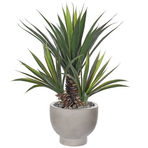 26" Aloe Plant in Concrete Bowl, Faux