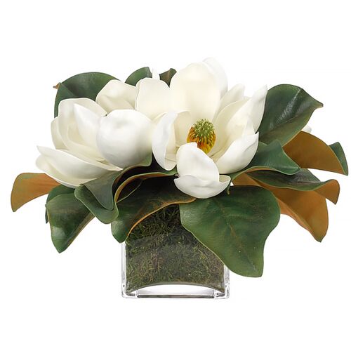 9" Magnolia in Glass Cube Vase with Moss, Faux