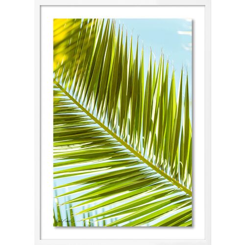 Carly Tabak, Palm 2 Southern California~P77640306